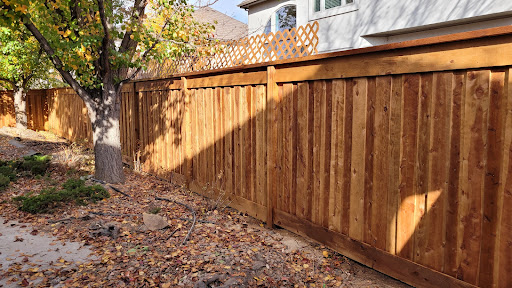 Rocky Mountain Forest Products